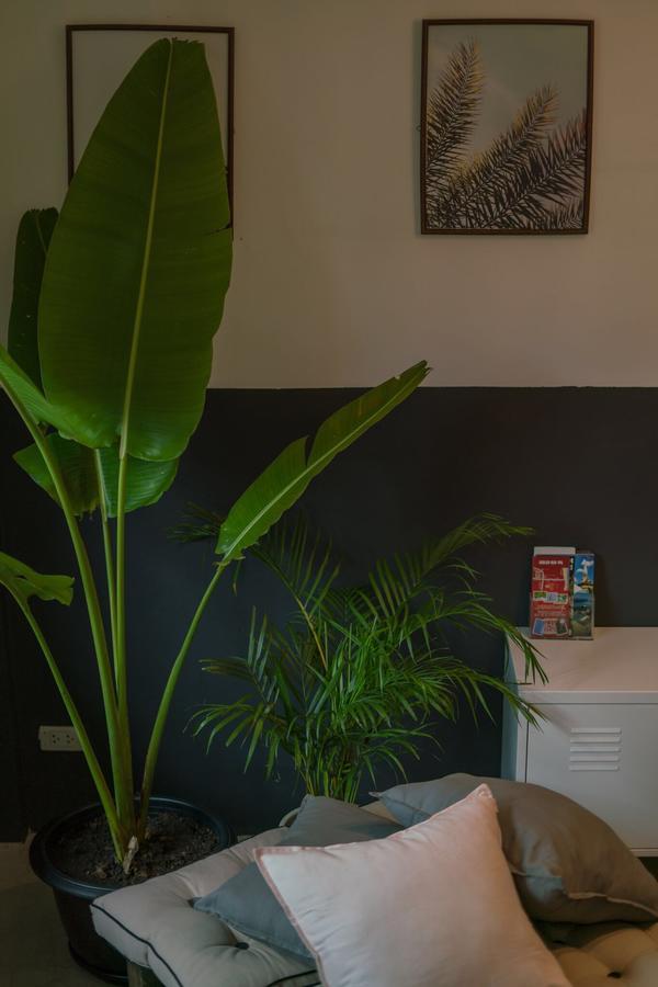 Pause Kathu Hostel Eksteriør bilde